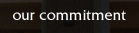 our commitment